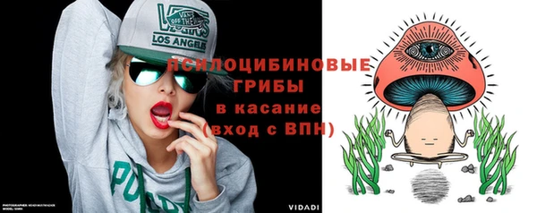 PSILOCYBIN Армянск