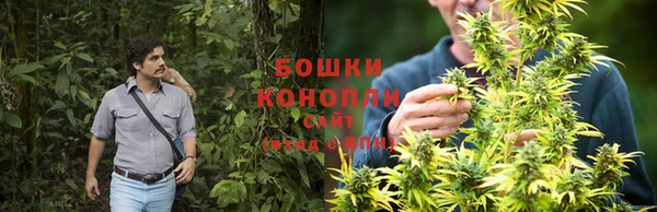 гидропоника Арсеньев