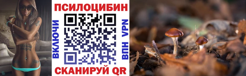 Псилоцибиновые грибы GOLDEN TEACHER  Сунжа 